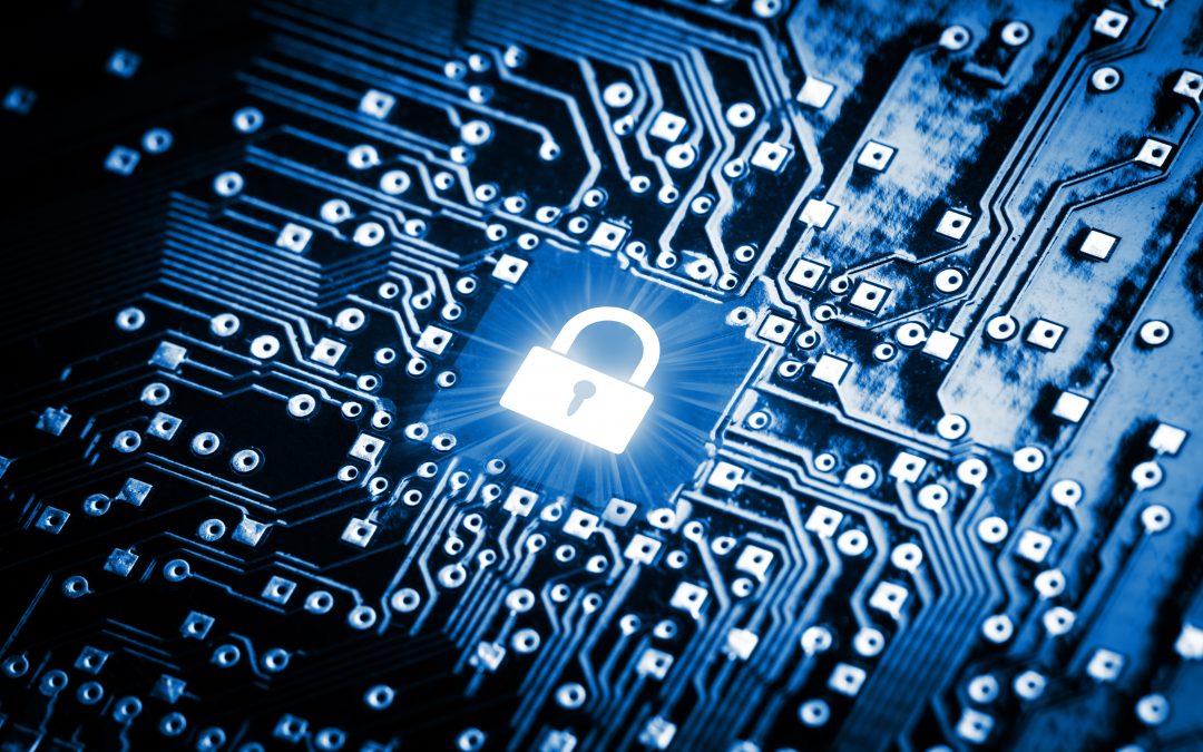Sacrificing Interoperability for Information Security: Containing Data Loss and Malware Propagation