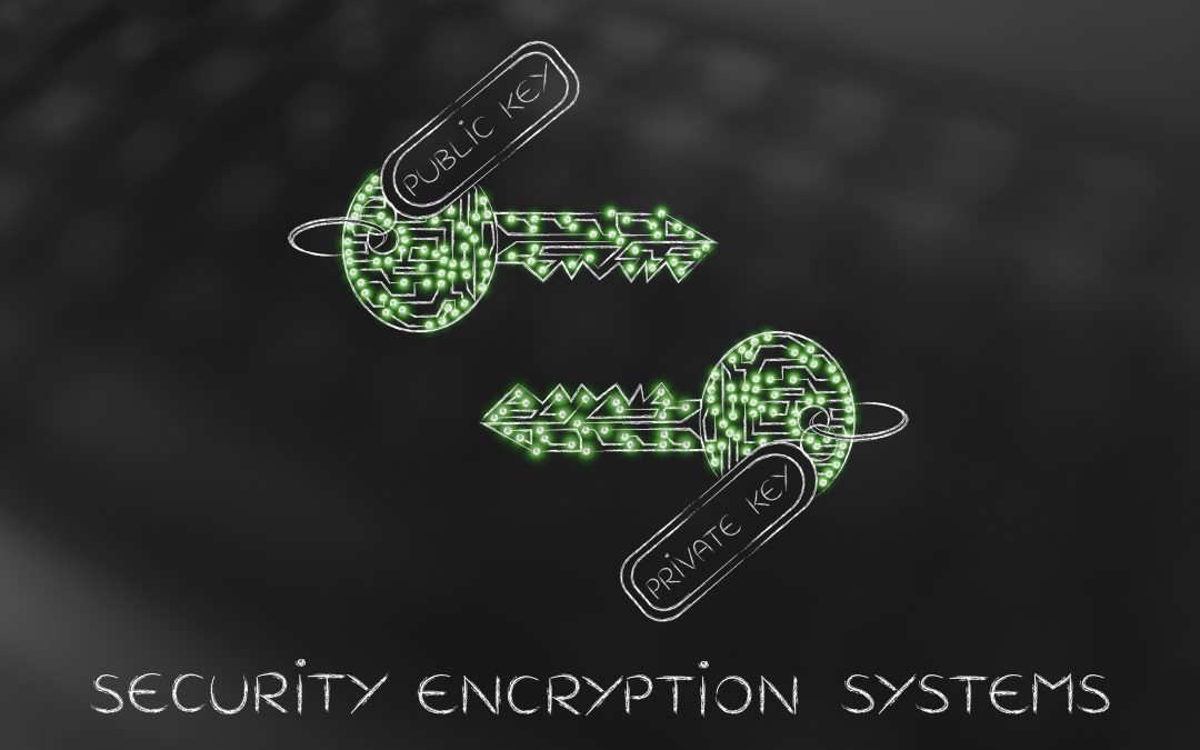 Approaches to System Security: Using Cryptographic Techniques to Minimize Trust