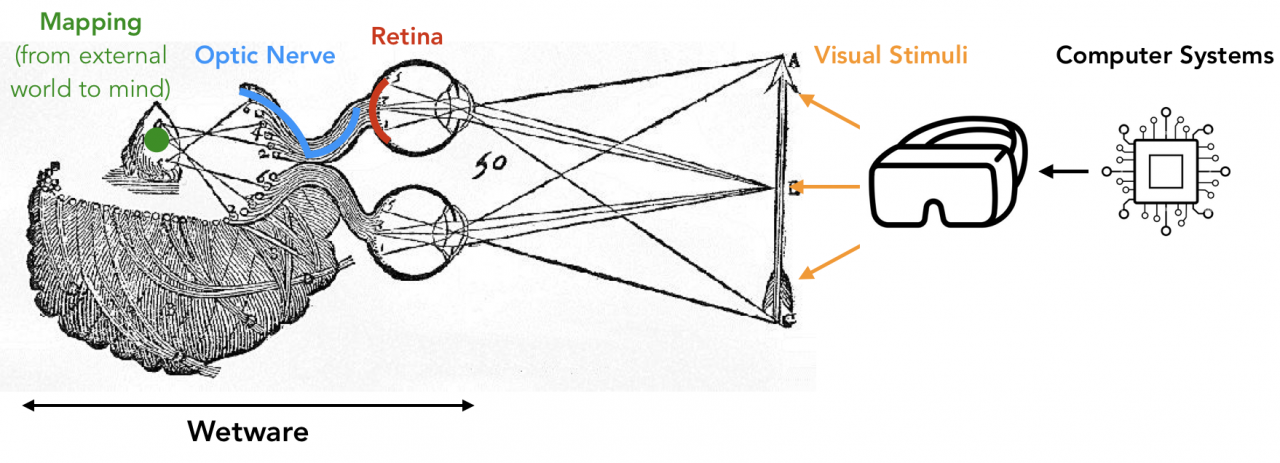 Wetware-in-the-loop Visual Computing Systems | SIGARCH